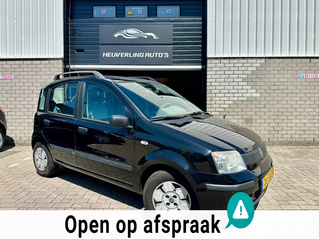 Fiat Panda 1.1 Young | D-RIEM VERVANGEN | APK